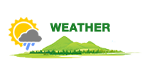 Weather